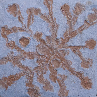 Arcadi Ballester Obra 2026